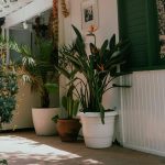 Vivienda exterior en planta baja a través de terraza entrante