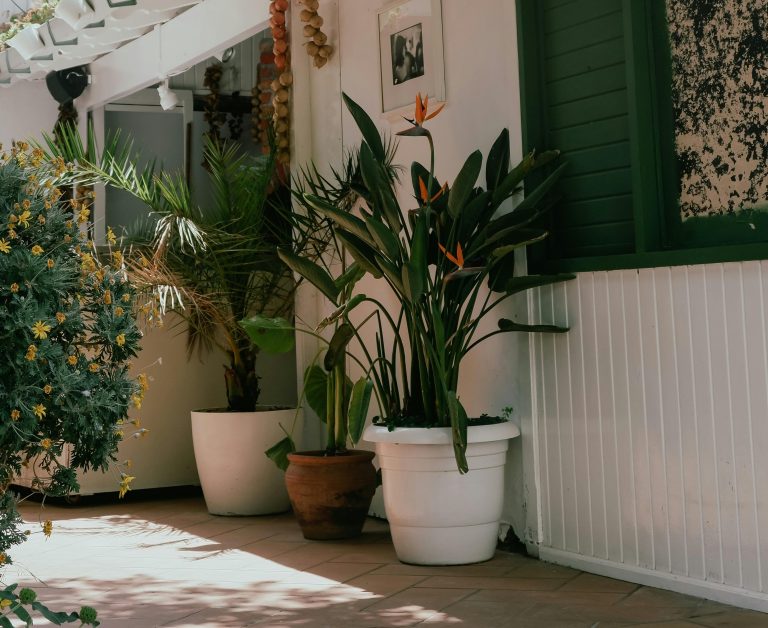 Vivienda exterior en planta baja a través de terraza entrante