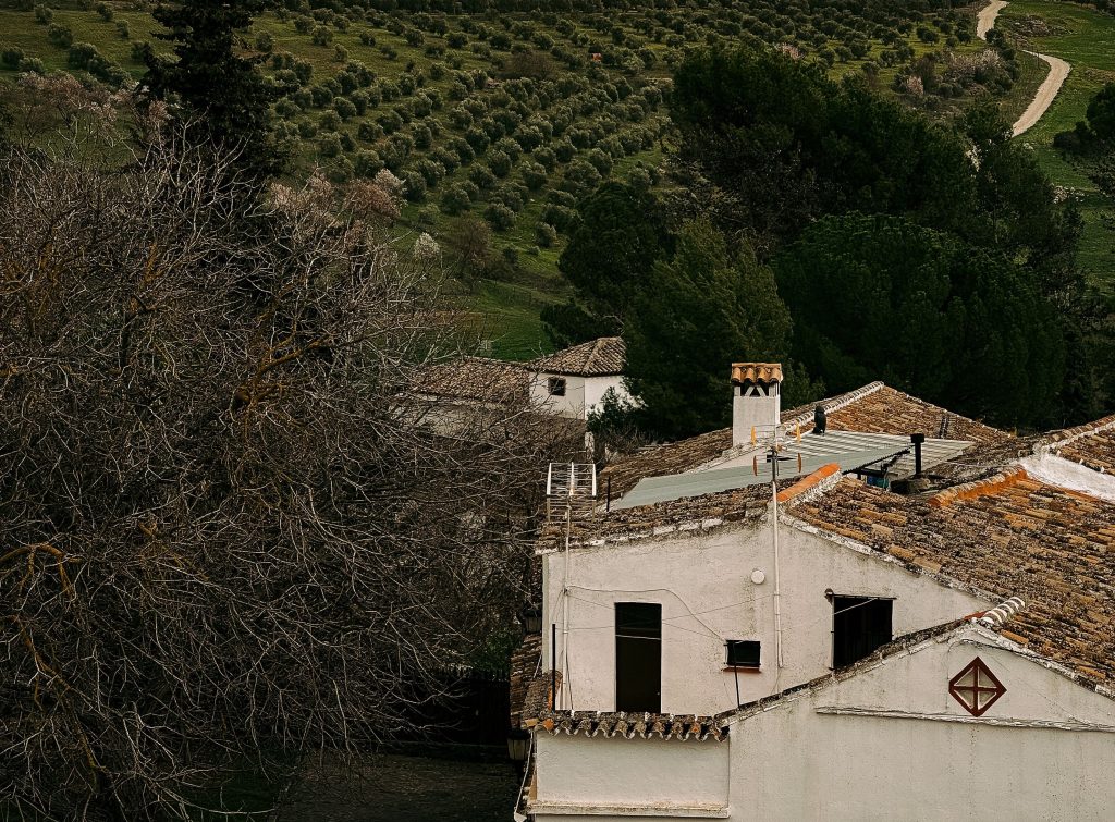 Andalucía avanza en la regulación de las Entidades Colaboradoras en materia de Calidad Ambiental