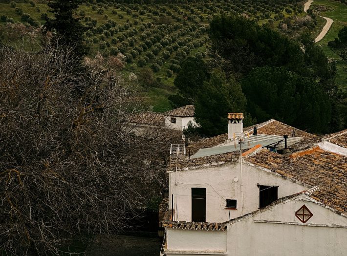 Andalucía avanza en la regulación de las Entidades Colaboradoras en materia de Calidad Ambiental